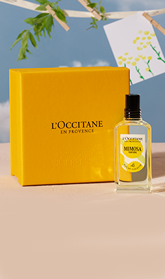 Herbae fresh and spicy fragrance | Women's Fragrance | L'Occitane